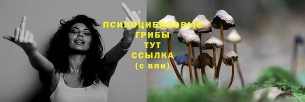 метамфетамин Болотное