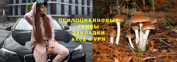 амфетамин Осинники