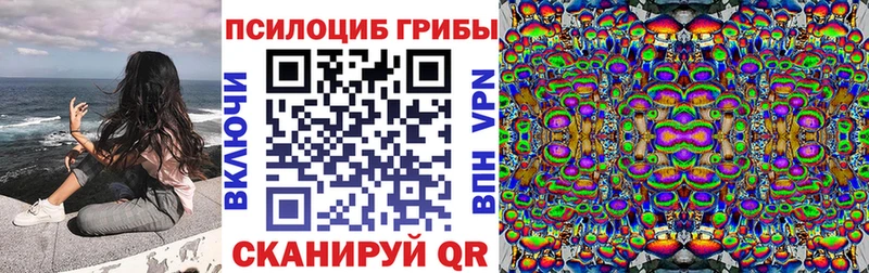 Псилоцибиновые грибы мухоморы  Купить где  Звенигород 